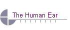 The Human Ear